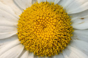20230615_Waterfront_Bontanical_Gardens-2