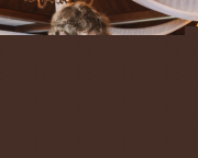 Pflugh_Wedding_100425-4