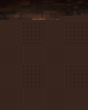 Pflugh_Wedding_100425-57